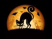 pic for Halloween Cat Art 